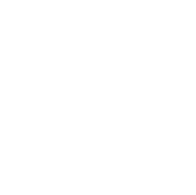 BMW GROUP