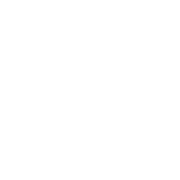 Logo MINI Nederland